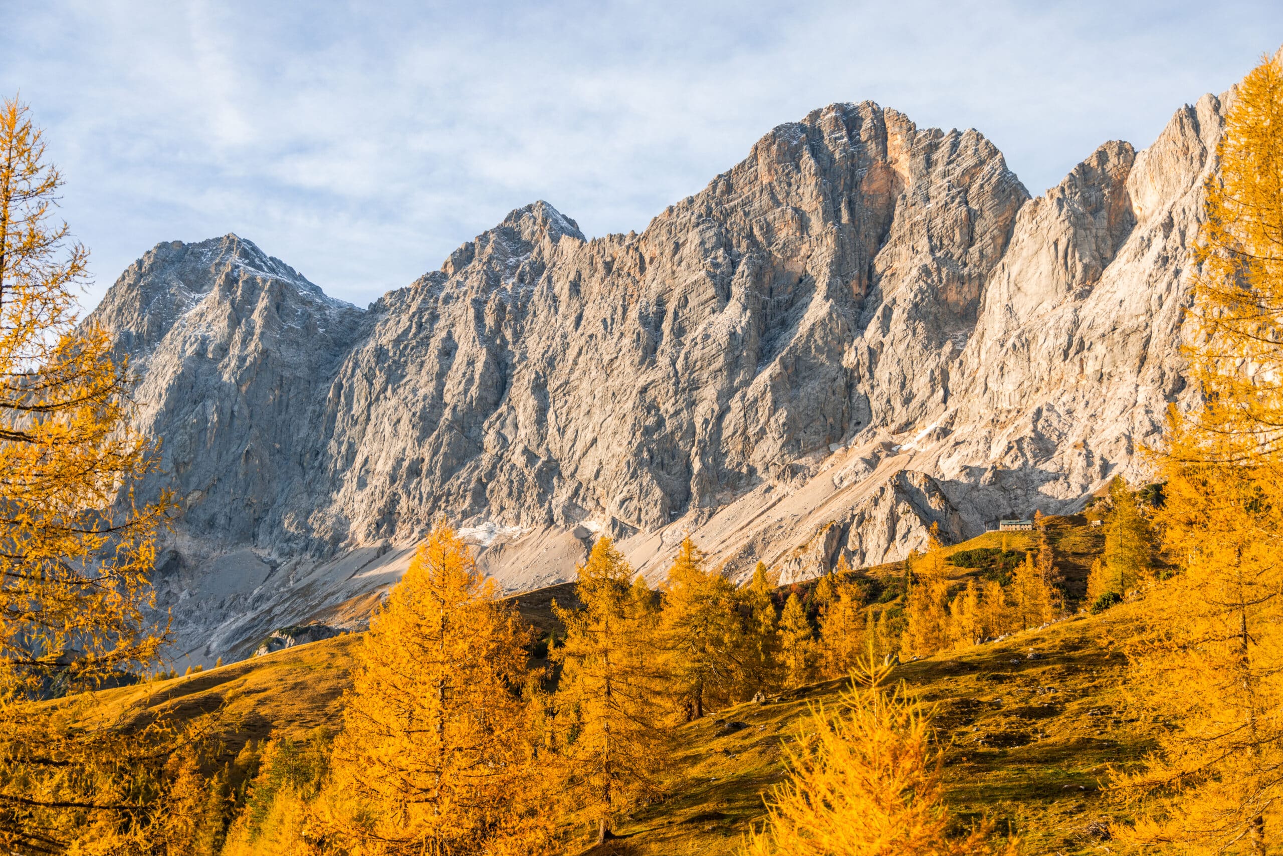 PIC Golden Autumn c Photo Austria Michael Simonlehner